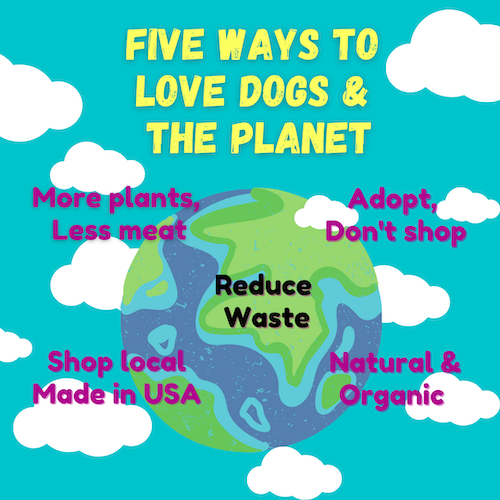 Five Ways to Love Your Pup & the Planet