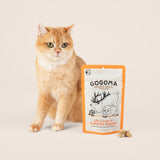 An orange tabby cat sits beside a stand-up pouch of GOGOMA freeze-dried treats on a warm beige studio background, with a few bite-sized treats placed in front of the package.