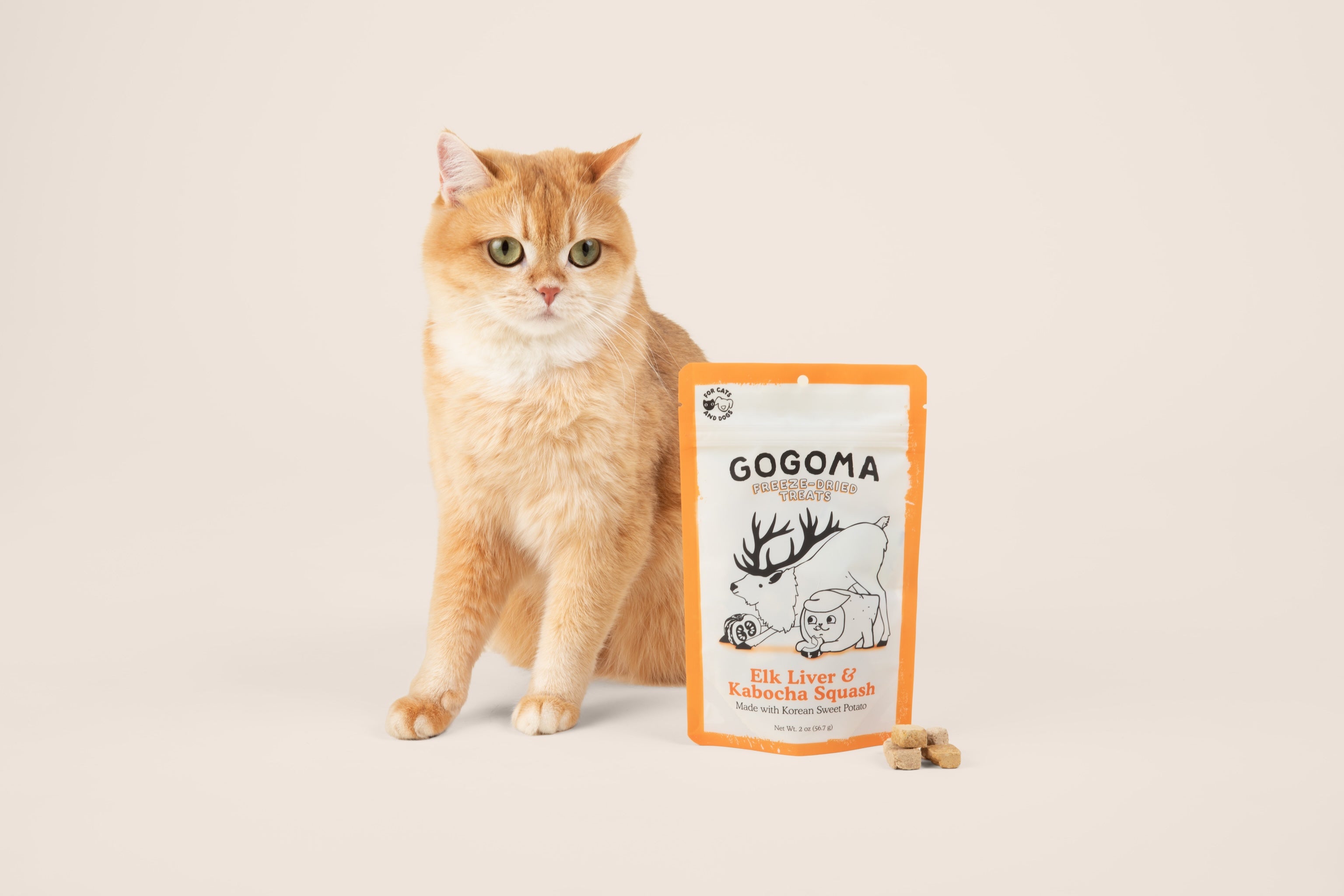 An orange tabby cat sits beside a stand-up pouch of GOGOMA freeze-dried treats on a warm beige studio background, with a few bite-sized treats placed in front of the package.