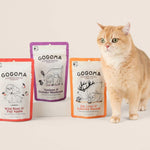 Three GOGOMA freeze-dried pet treat pouches in red, purple, and orange are displayed next to a fluffy orange cat on a light beige background.