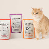 Three GOGOMA freeze-dried pet treat pouches in red, purple, and orange are displayed next to a fluffy orange cat on a light beige background.