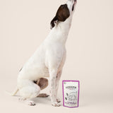 A white and brown bully breed dog sits on a beige studio background, reaching toward a Gogoma freeze-dried treat from a human hand. A GOGOMA freeze-dried Venison & Shiitake Mushroom dog treat pouch stands on the floor beside the dog.