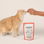 A ginger cat stands beside a GOGOMA pouch of Wild Boar & Fuji Apple and reaches toward a human hand offering a treat, on a clean warm beige studio background.