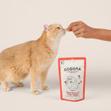 A ginger cat stands beside a GOGOMA pouch of Wild Boar & Fuji Apple and reaches toward a human hand offering a treat, on a clean warm beige studio background.